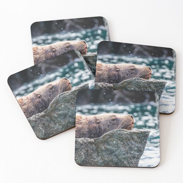 Item preview, Sea Lion in Resurrection Bay, Alaska designed and sold by Lyl Dil Creations.