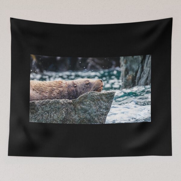 Item preview, Sea Lion in Resurrection Bay, Alaska designed and sold by Lyl Dil Creations.