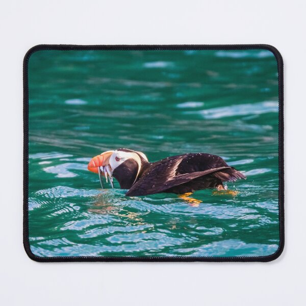 Item preview, Puffin fishing in Resurrection Bay, Alaska designed and sold by Lyl Dil Creations.