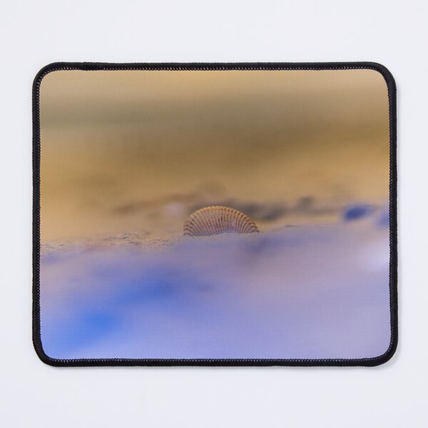 Item preview, Seashell at beach 2 designed and sold by KensLensDesigns.