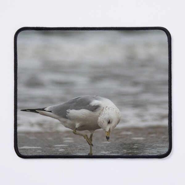 Item preview, Ballerina seagull designed and sold by KensLensDesigns.