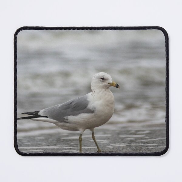 Item preview, Seagull standing in the ocean designed and sold by KensLensDesigns.