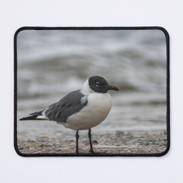Item preview, Water Bird designed and sold by KensLensDesigns.