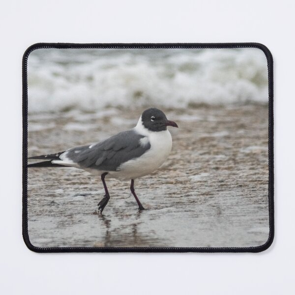 Item preview, Walk along the ocean designed and sold by KensLensDesigns.