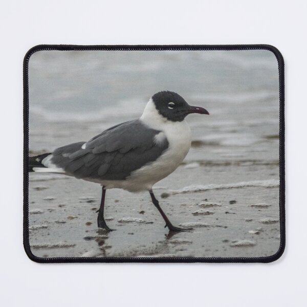 Item preview, Atricilla walking designed and sold by KensLensDesigns.