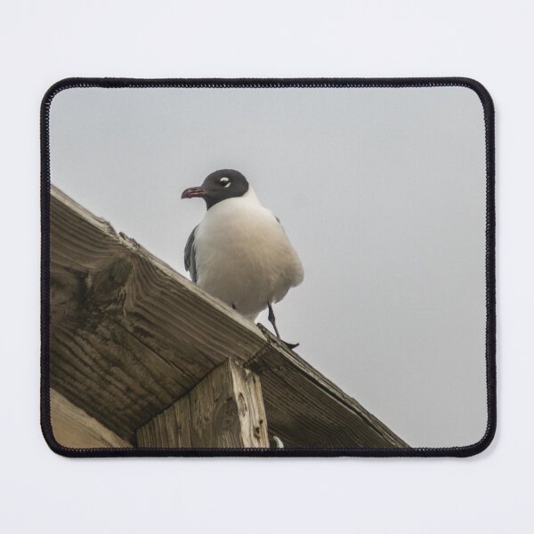 Item preview, Beach penguin designed and sold by KensLensDesigns.