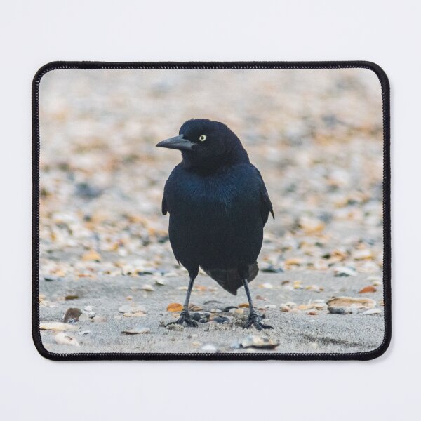 Item preview, Gregarious Passerine designed and sold by KensLensDesigns.