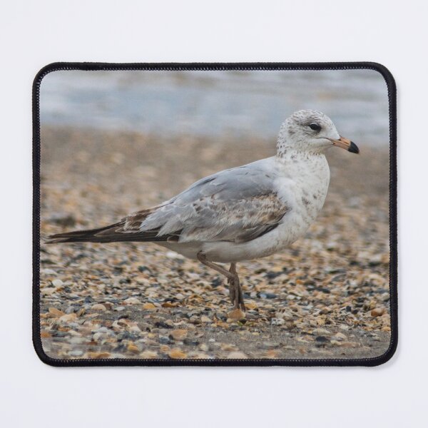 Item preview, Beach Bum 2 designed and sold by KensLensDesigns.