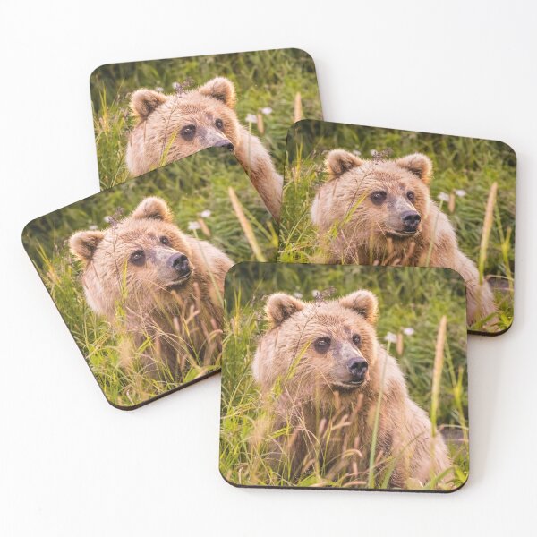 Item preview, Grizzly bear cub designed and sold by Lyl Dil Creations.