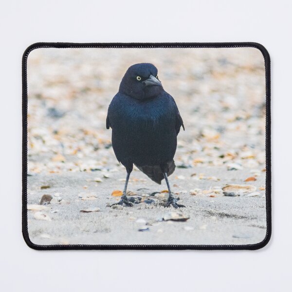 Item preview, Scavenging Birds designed and sold by KensLensDesigns.