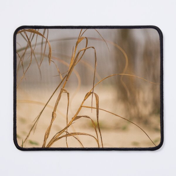 Item preview, Boardwalk grass 2 designed and sold by KensLensDesigns.