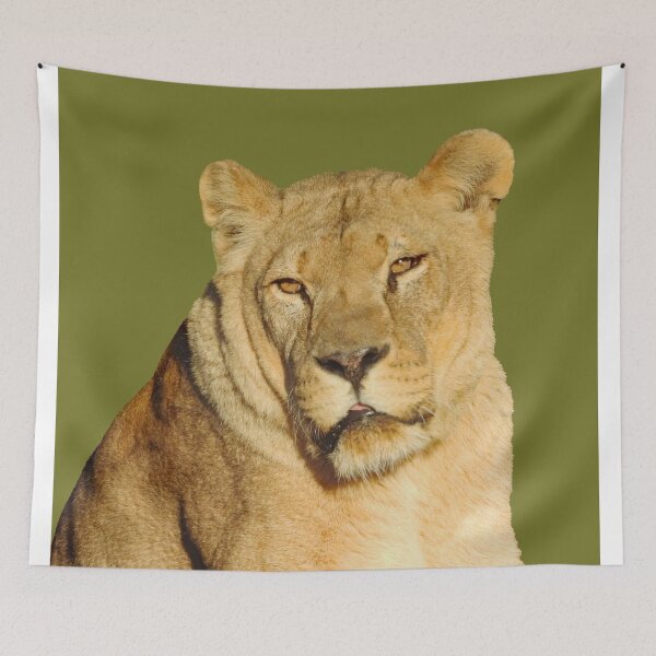 Item preview, A Beautiful Lioness designed and sold by Karen Thomson.