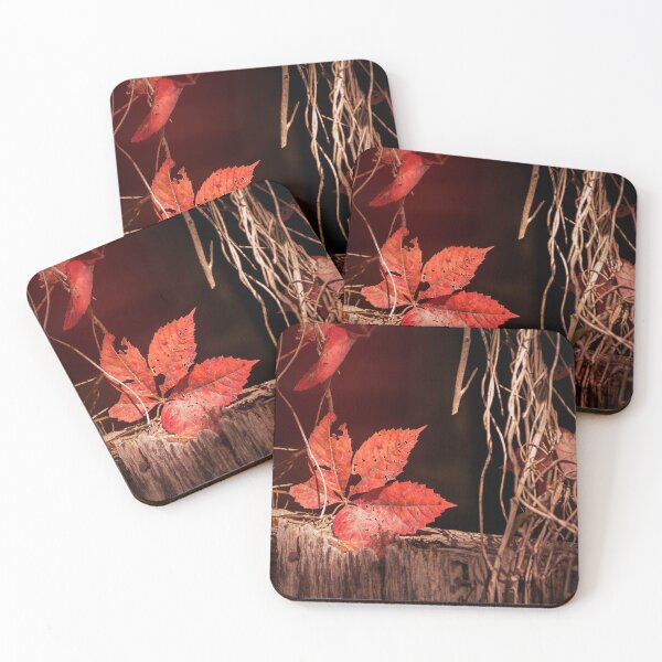 Item preview, Warm Window designed and sold by Jim Love.