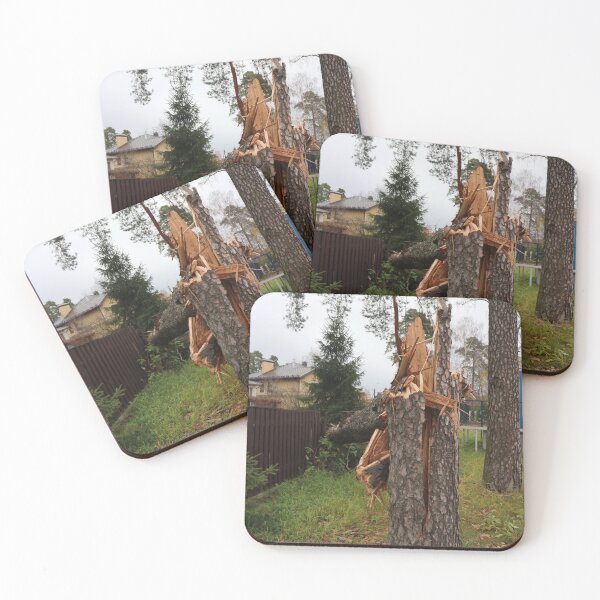 Item preview, large pine tree fell from a hurricane wind  designed and sold by mrivserg.