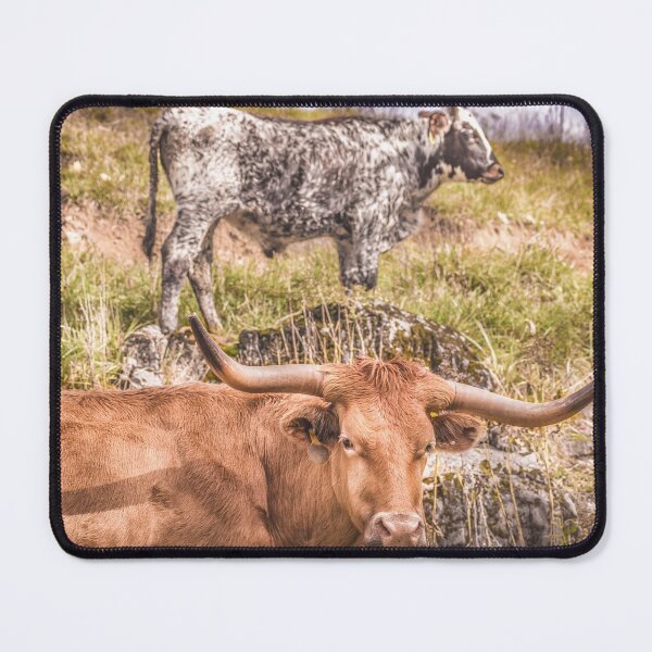Item preview, Rocky Pastures designed and sold by Jim Love.