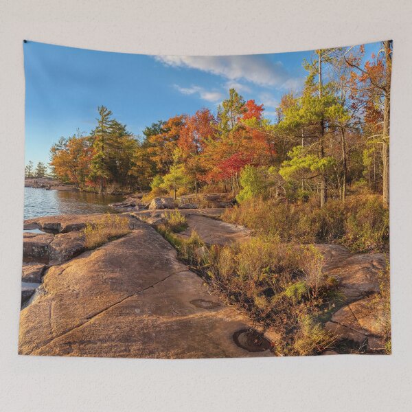 Item preview, Canadian Sheild in Golden Evening Light designed and sold by wildvalecreate.
