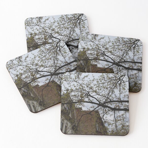 Item preview, Schenectady 16 designed and sold by SyRP.
