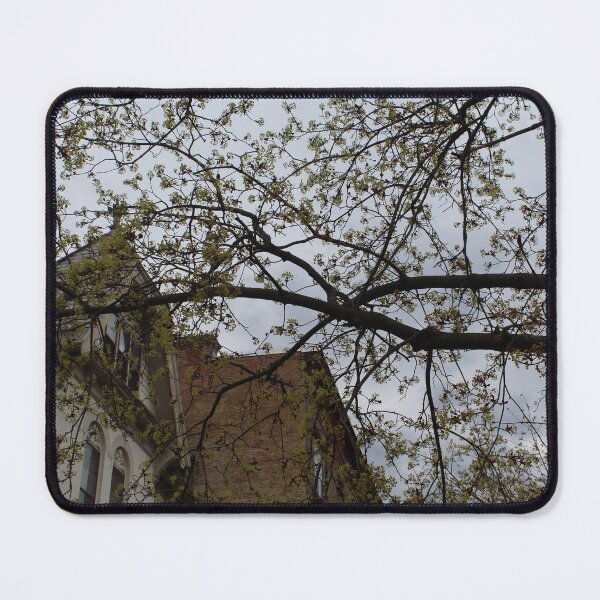 Item preview, Schenectady 16 designed and sold by SyRP.