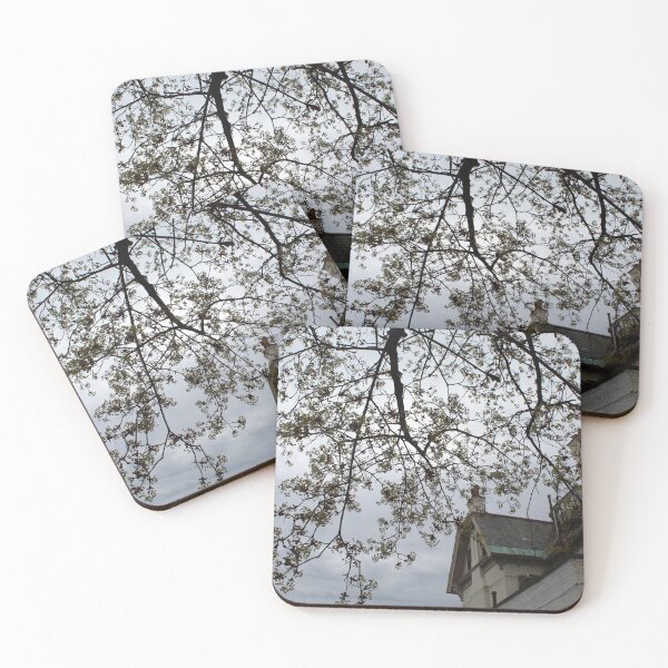 Item preview, Schenectady 17 designed and sold by SyRP.