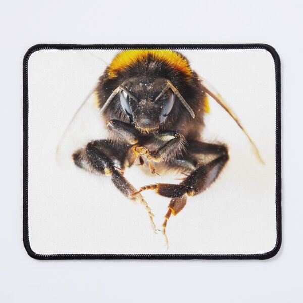 Item preview, Bumble Bee designed and sold by Graham Prentice.