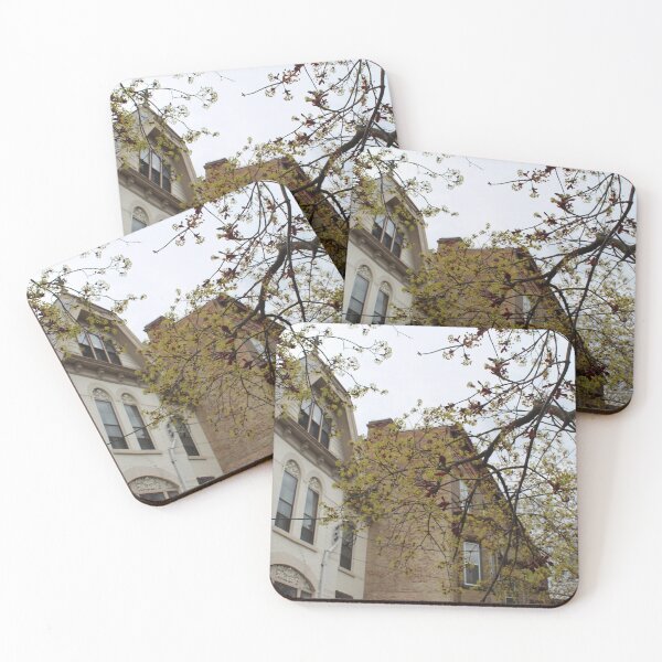 Item preview, Schenectady 18 designed and sold by SyRP.
