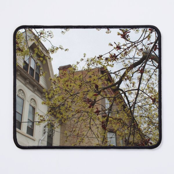 Item preview, Schenectady 18 designed and sold by SyRP.