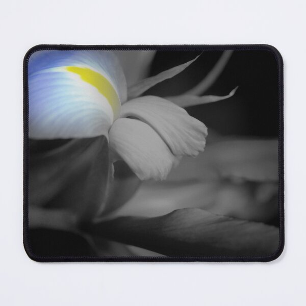 Item preview, Black and White Iris designed and sold by bloomingvine.