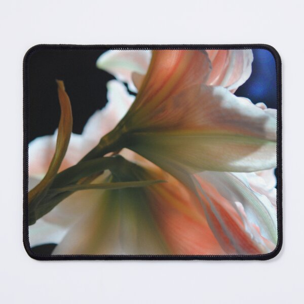 Item preview, Amaryllis In The Light designed and sold by bloomingvine.