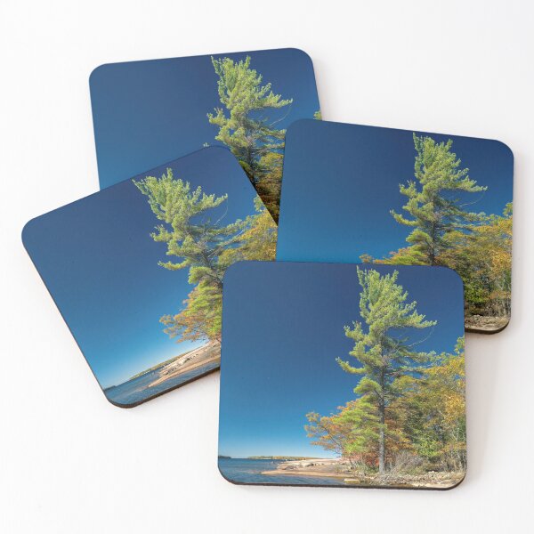 Item preview, Proud White Pine designed and sold by wildvalecreate.