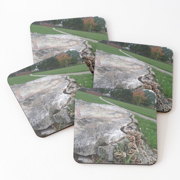 Item preview, Tree Stump with Turkey Tail Mushrooms and Heart designed and sold by Flyaways.