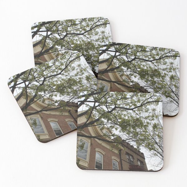Item preview, Schenectady 21 designed and sold by SyRP.
