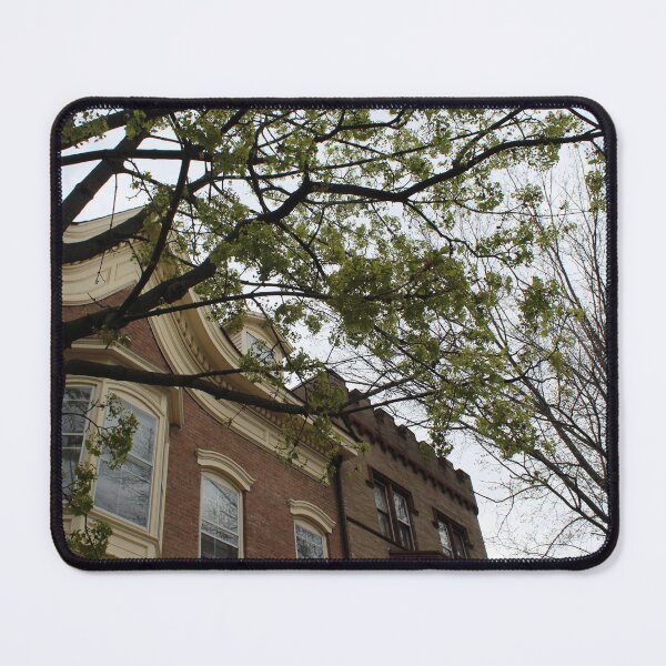 Item preview, Schenectady 21 designed and sold by SyRP.