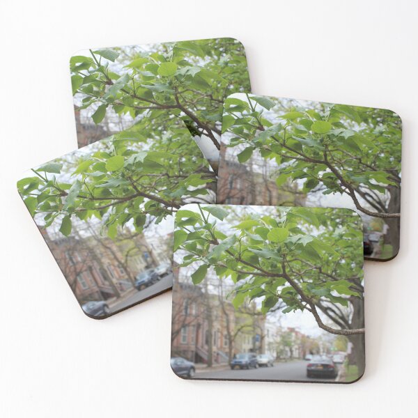 Item preview, Schenectady 22 designed and sold by SyRP.
