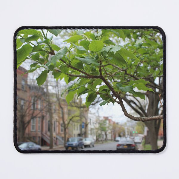 Item preview, Schenectady 22 designed and sold by SyRP.