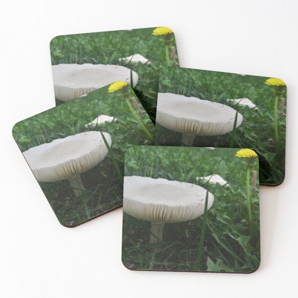 Item preview, White Mushroom and Dandelion designed and sold by Flyaways.