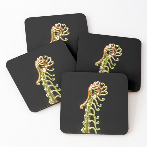 Item preview, Sinuous Fern designed and sold by Graham Prentice.