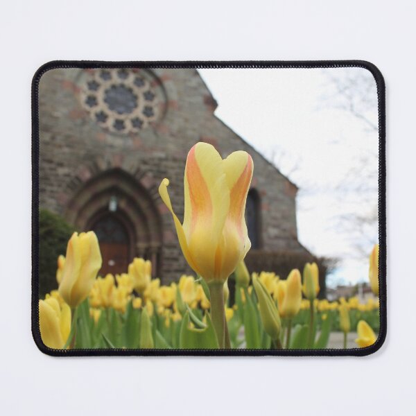 Item preview, Schenectady 32 designed and sold by SyRP.