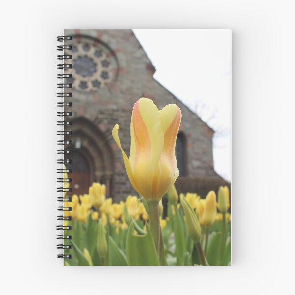 Item preview, Schenectady 32 designed and sold by SyRP.