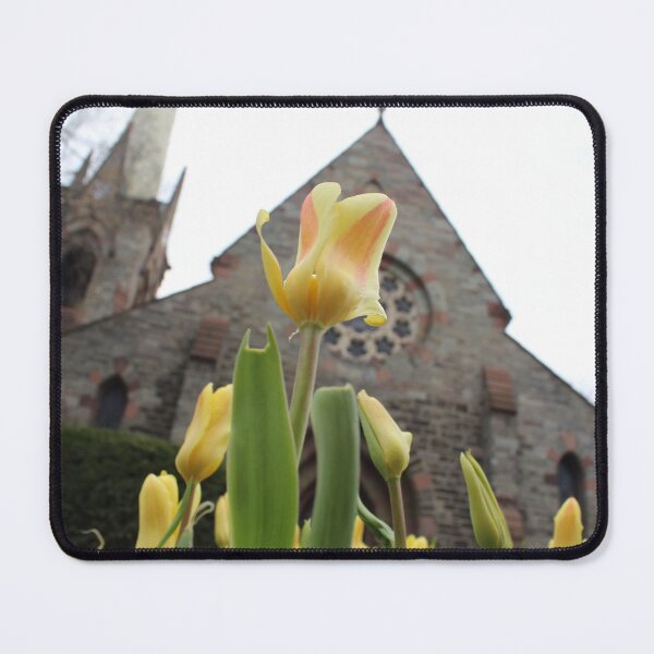 Item preview, Schenectady 33 designed and sold by SyRP.