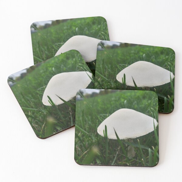 Item preview, Smooth White Mushroom designed and sold by Flyaways.