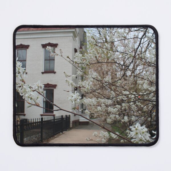 Item preview, Schenectady 35 designed and sold by SyRP.