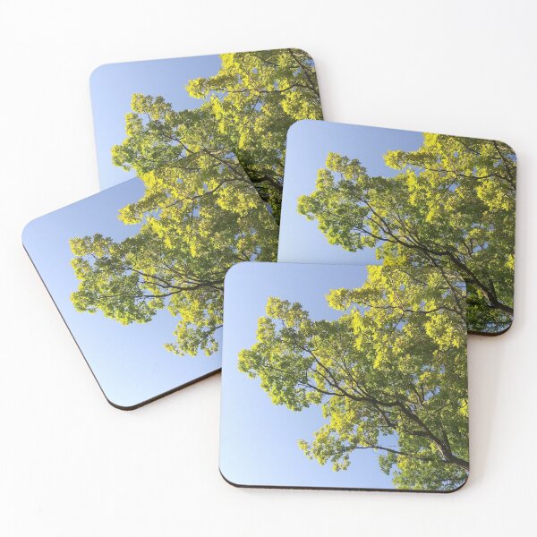 Item preview, Tree Against a Clear Sky designed and sold by Flyaways.