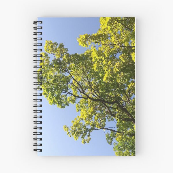 Item preview, Tree Against a Clear Sky designed and sold by Flyaways.