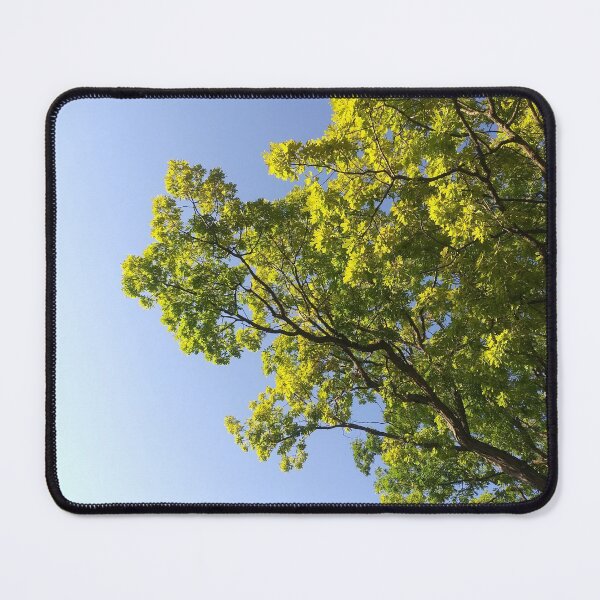 Item preview, Tree Against a Clear Sky designed and sold by Flyaways.