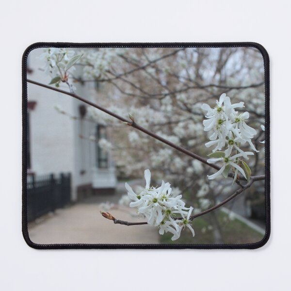 Item preview, Schenectady 36 designed and sold by SyRP.