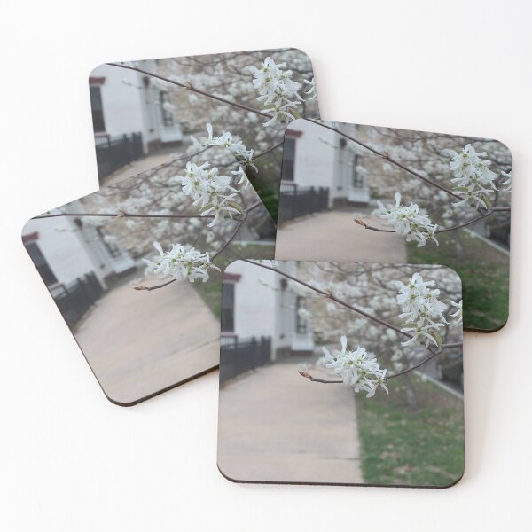 Item preview, Schenectady 36 designed and sold by SyRP.
