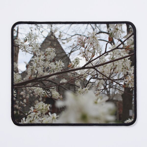Item preview, Schenectady 37 designed and sold by SyRP.