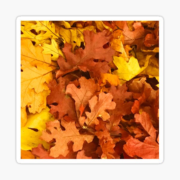 Item preview, Autumn Yellow And Nutmeg-Cinnamon-Hues Fall Leaves designed and sold by DEC02.