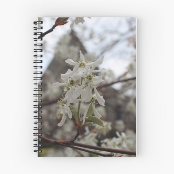 Item preview, Schenectady 38 designed and sold by SyRP.