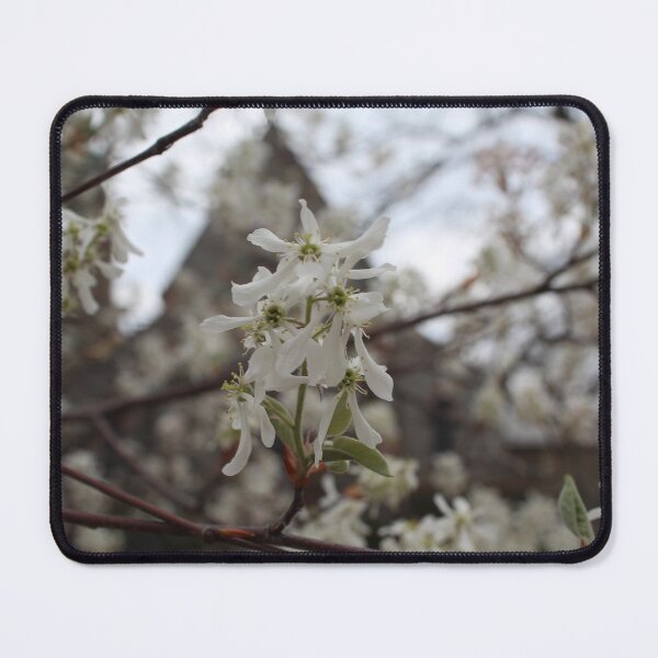 Item preview, Schenectady 38 designed and sold by SyRP.